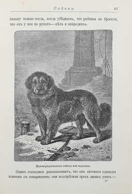 Дружбин П.В. И все это правда! Ум и нравы животных. СПб., 1900.